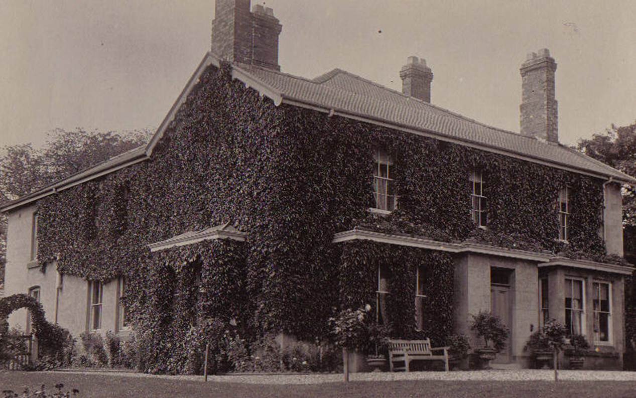 A house with ivy on the wall
Description automatically generated